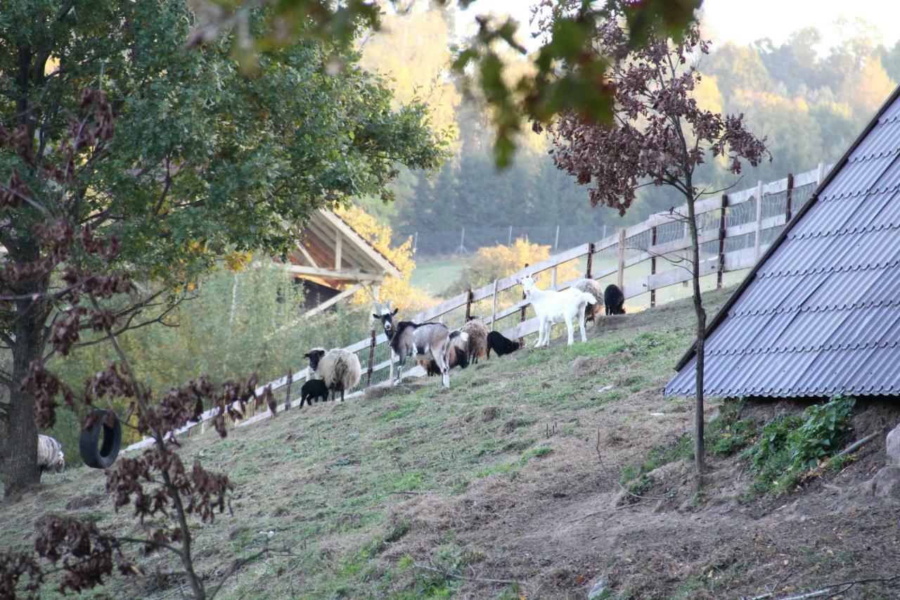 Siedlisko Gizewo Villa Esterno foto